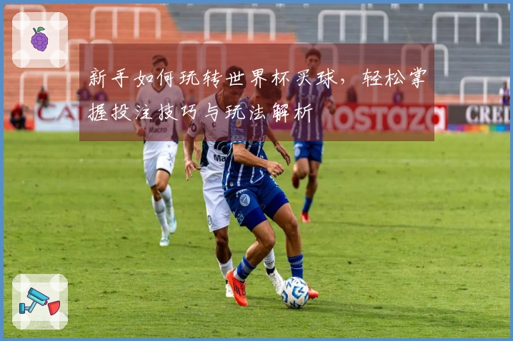 新手如何玩转世界杯买球，轻松掌握投注技巧与玩法解析