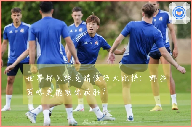 世界杯买球竞猜技巧大比拼：哪些策略更能助你获胜？