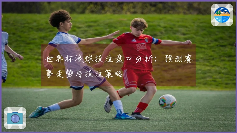 世界杯滚球投注盘口分析：预测赛事走势与投注策略