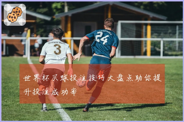 世界杯买球投注技巧大盘点助你提升投注成功率