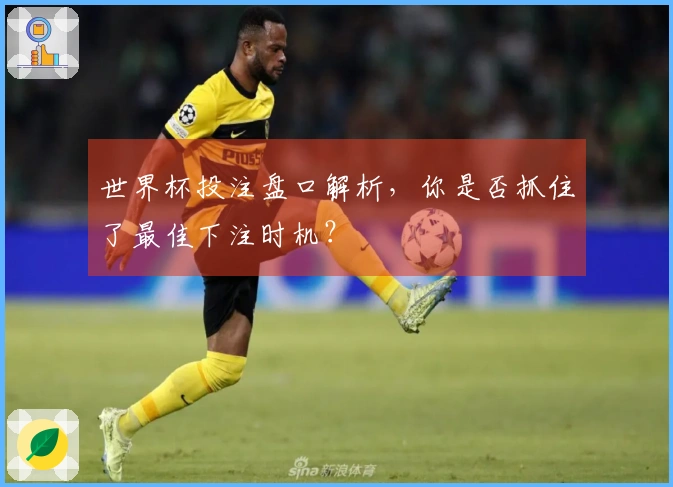 世界杯投注盘口解析，你是否抓住了最佳下注时机？