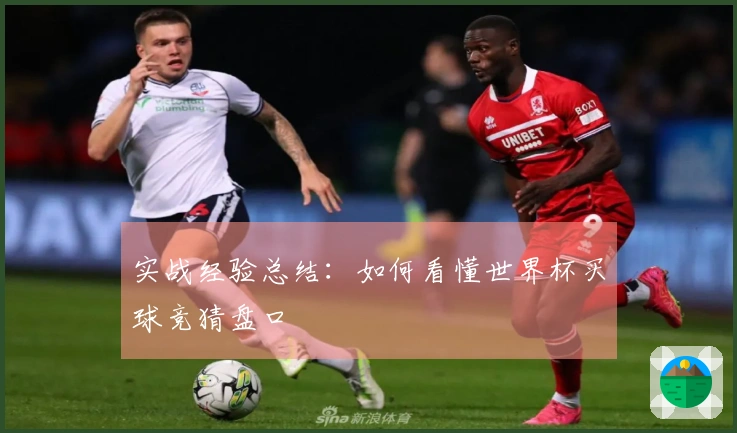 实战经验总结：如何看懂世界杯买球竞猜盘口