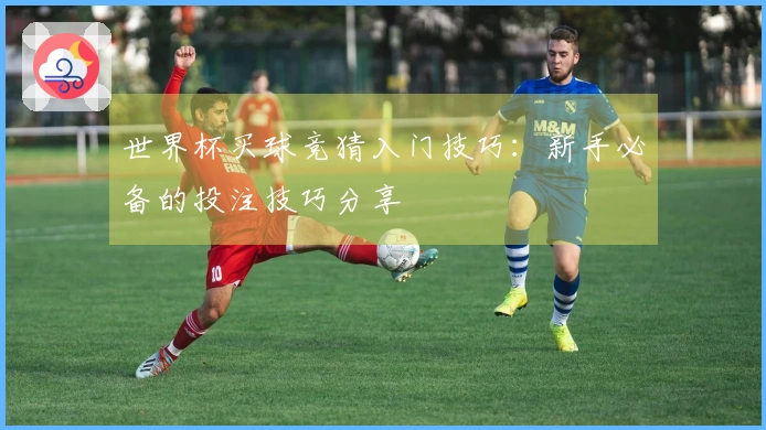 世界杯买球竞猜入门技巧：新手必备的投注技巧分享