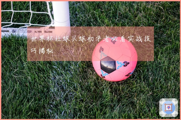 世界杯让球买球初学者必看实战技巧揭秘