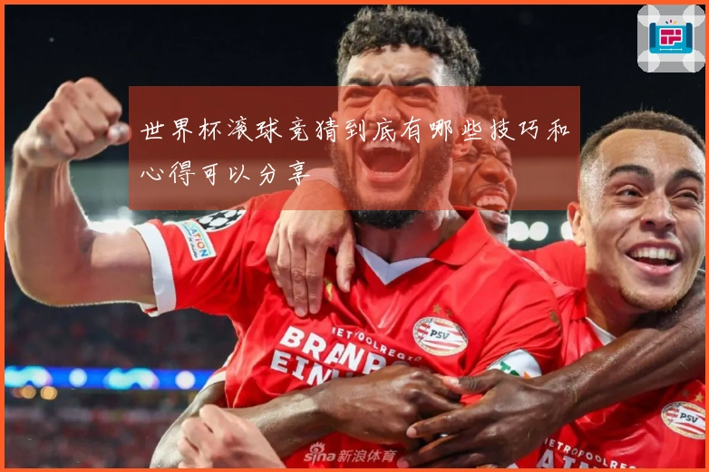 世界杯滚球竞猜到底有哪些技巧和心得可以分享